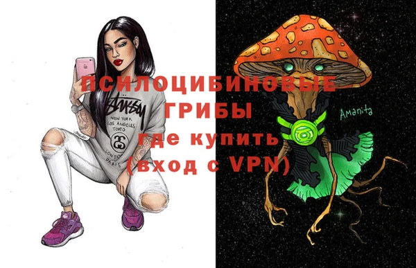 дмт Балахна