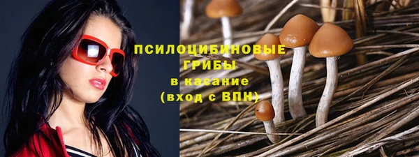дмт Балахна